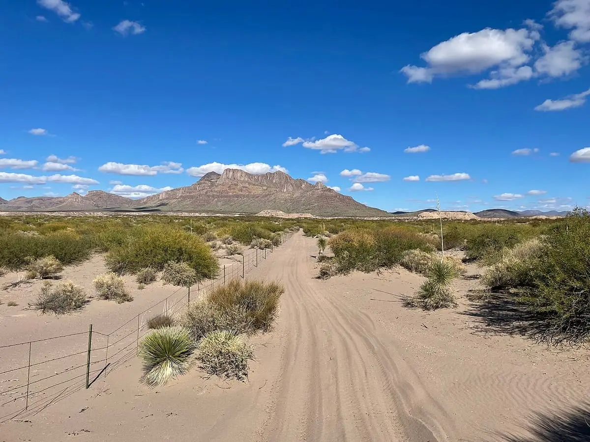 Sandy track along a wire fence inside Hot Well Dunes with Javelina Peak in the distance