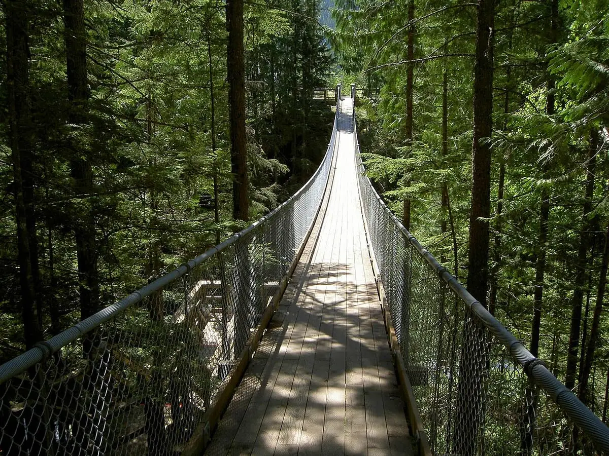 Suspension bridge over the Crazy Creek gorge through tall evergreen forest