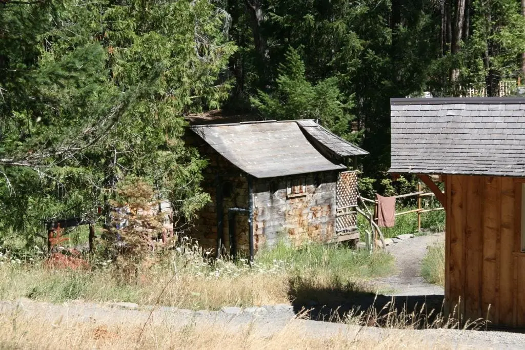 Weathered wooden steam sauna house among trees at Breitenbush Hot Springs