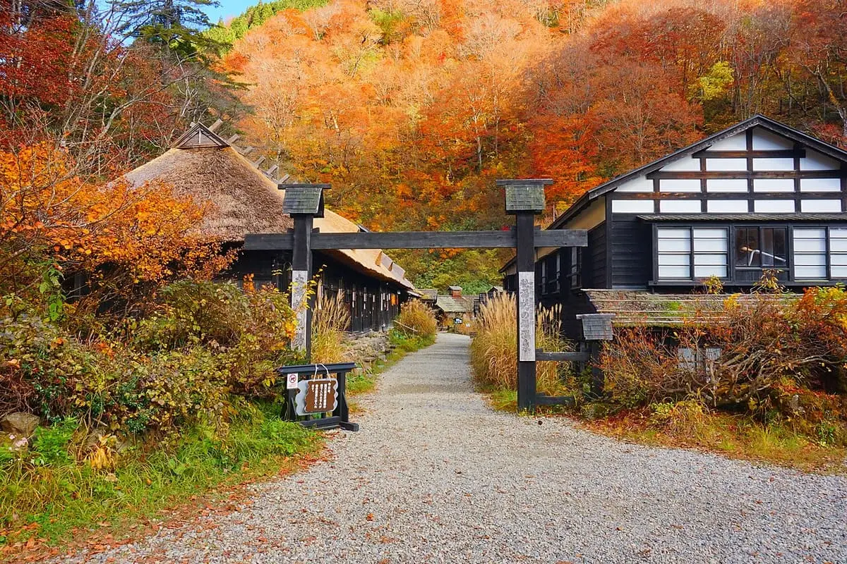 Gravel lane and gateposts leading into Tsurunoyu Onsen framed by orange autumn trees