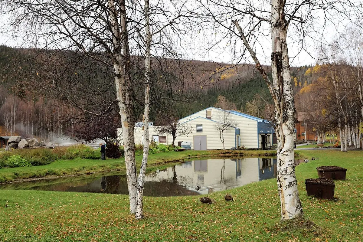 Pond reflecting a resort building among birch trees with steam rising behind at Chena Hot Springs