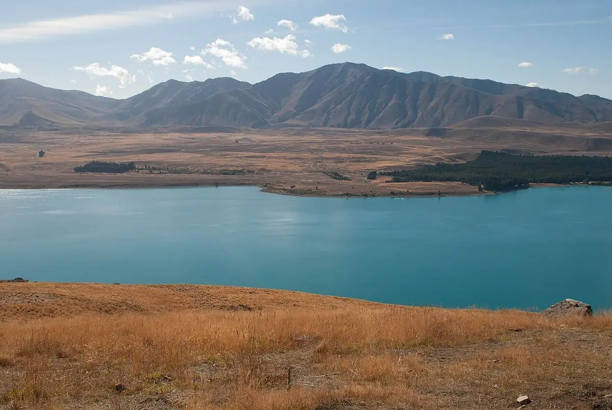 Turquoise Lake Tekapo below tussock flats and brown mountains on a sunny day