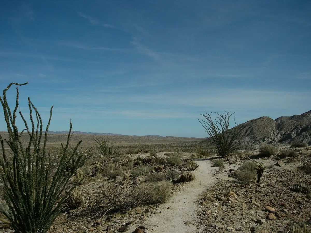 Moonlight Trail trailhead at Agua Caliente County Park with ocotillo and desert hills