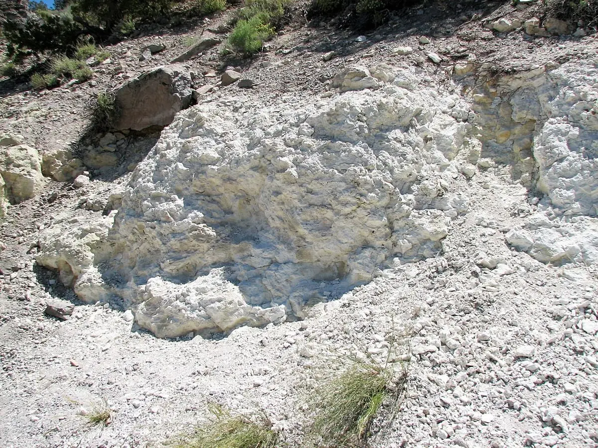 White hydrothermally altered rhyolite boulders on a slope in Hot Creek Gorge
