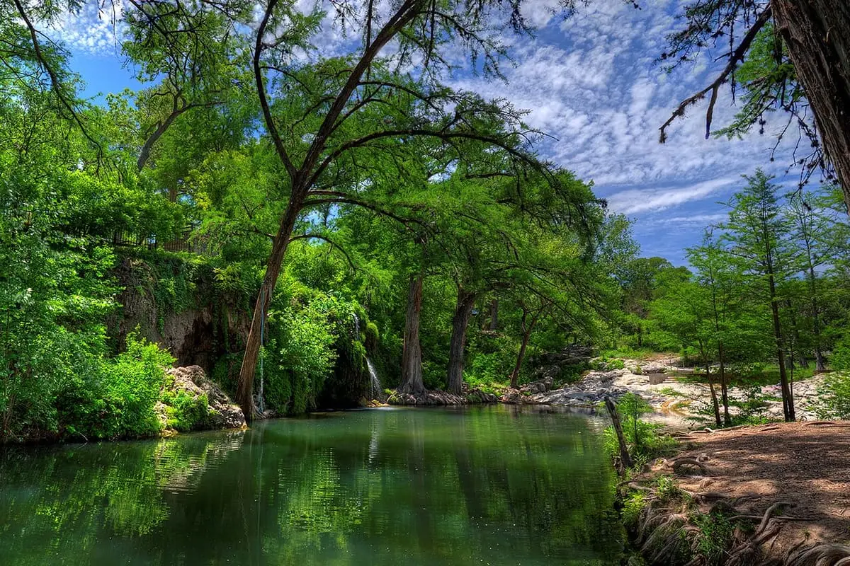 Green spring fed pool lined with cypress trees under a blue sky at Krause Springs