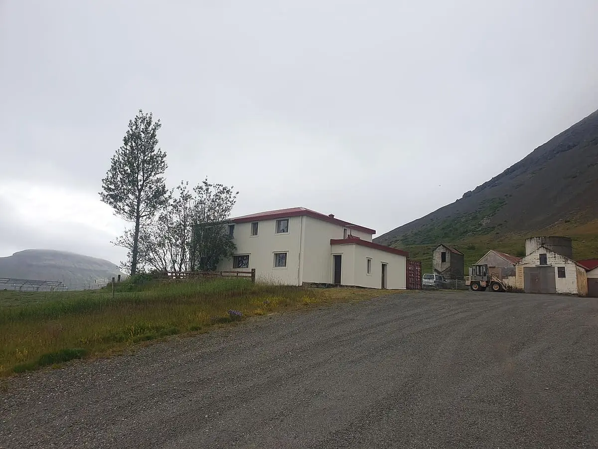 White farmhouses at Hoffell along a gravel road below steep mountain slopes