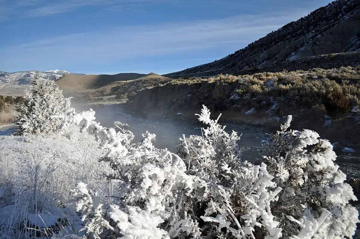 Frosted sagebrush and rising steam along the Gardner River near Boiling River in December 2009