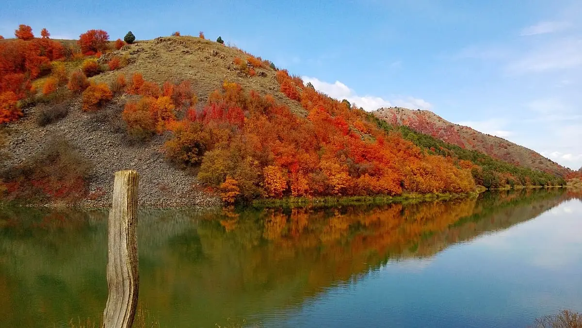 Red and orange autumn brush on a hillside reflected in still water near Maple Grove Hot Springs