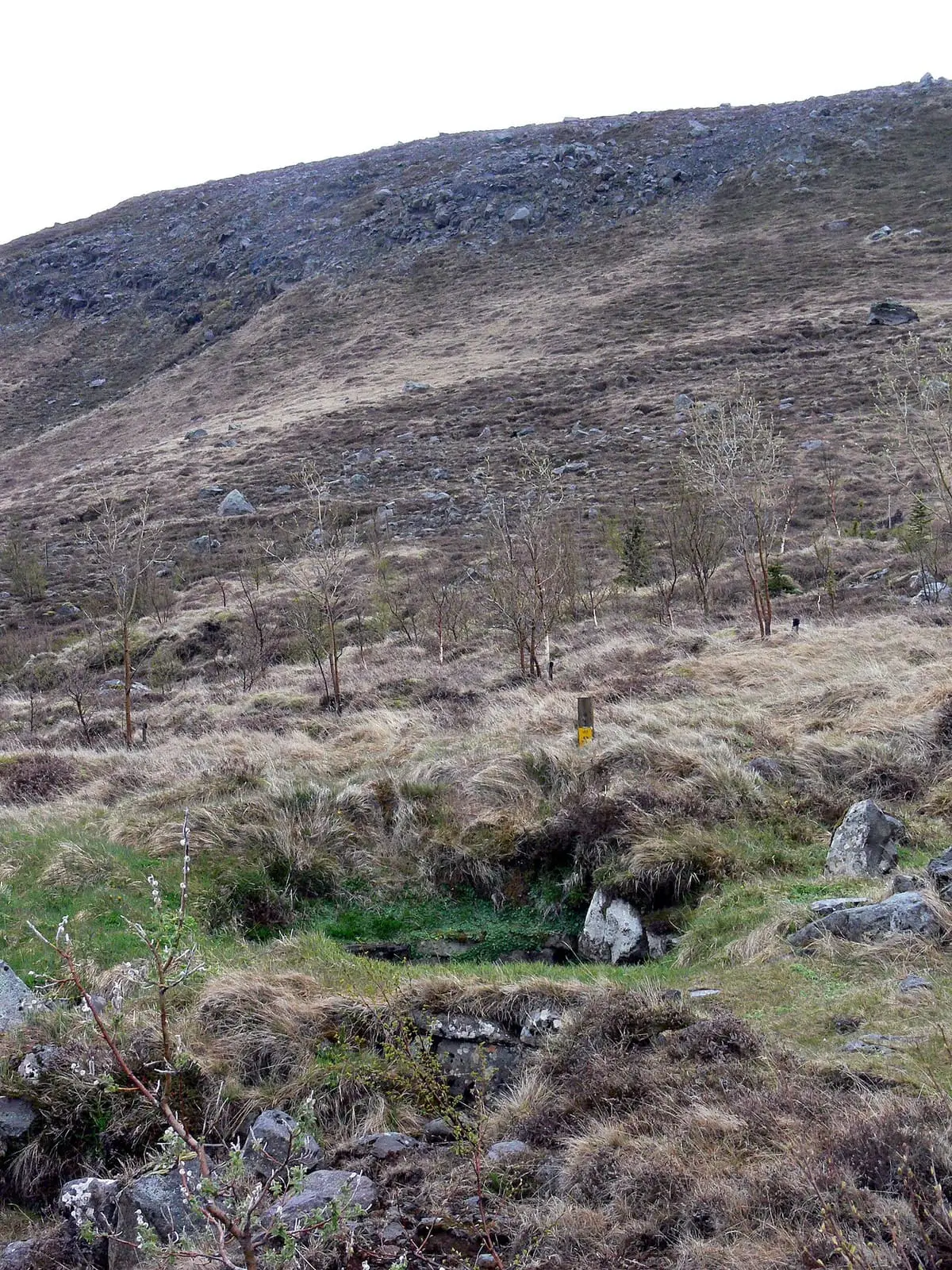 Krosslaug hot pool in a grassy hollow on a hillside in Lundarreykjadalur