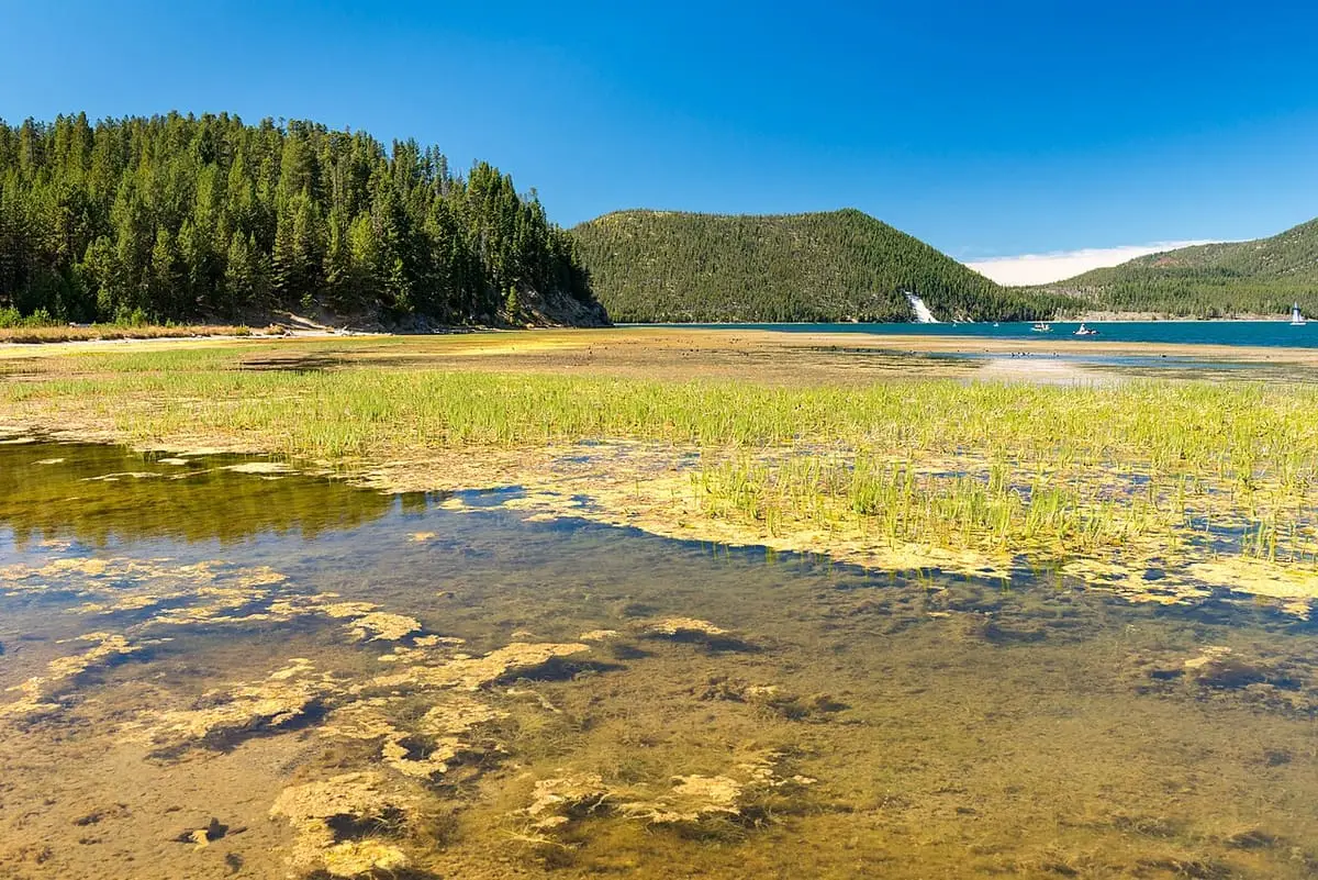 Shallow shoreline of East Lake near the Hot Springs Boat Launch with grasses and forested hills