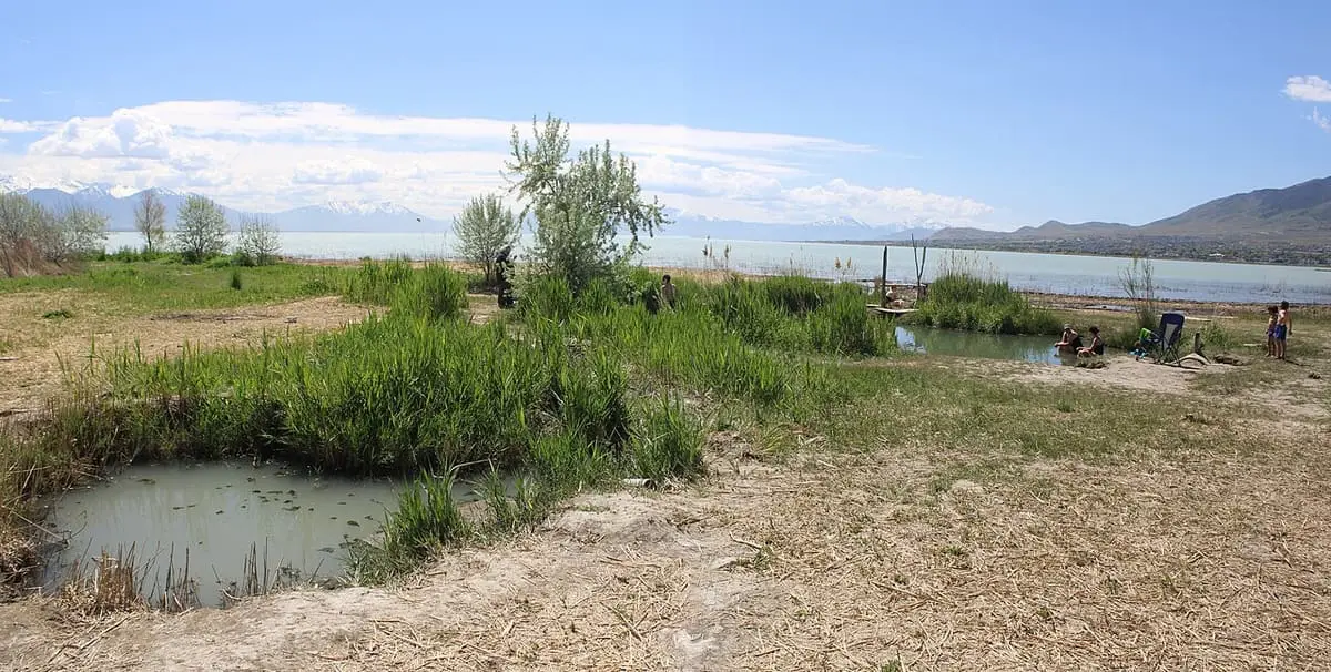 Small muddy hot spring pools among reeds on the Utah Lake shore at Saratoga Hot Springs