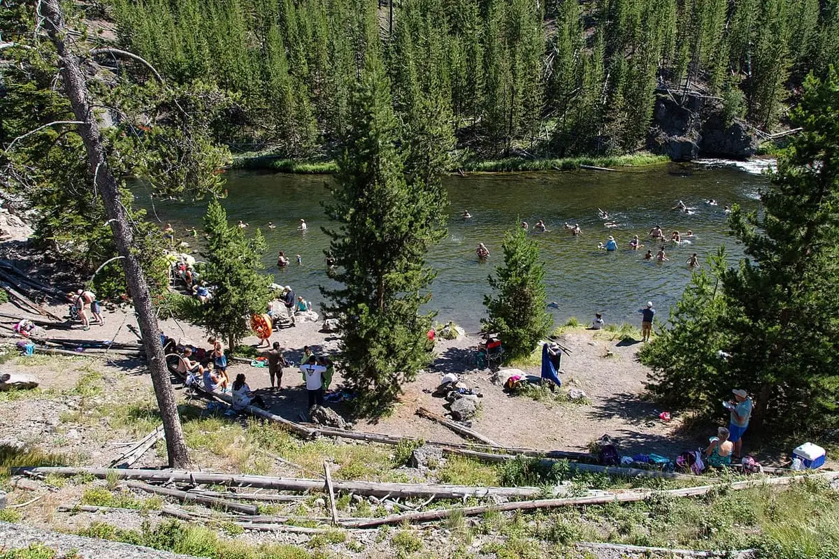 Firehole River swimming stretch seen from above through pines, with a gravel beach on the bank