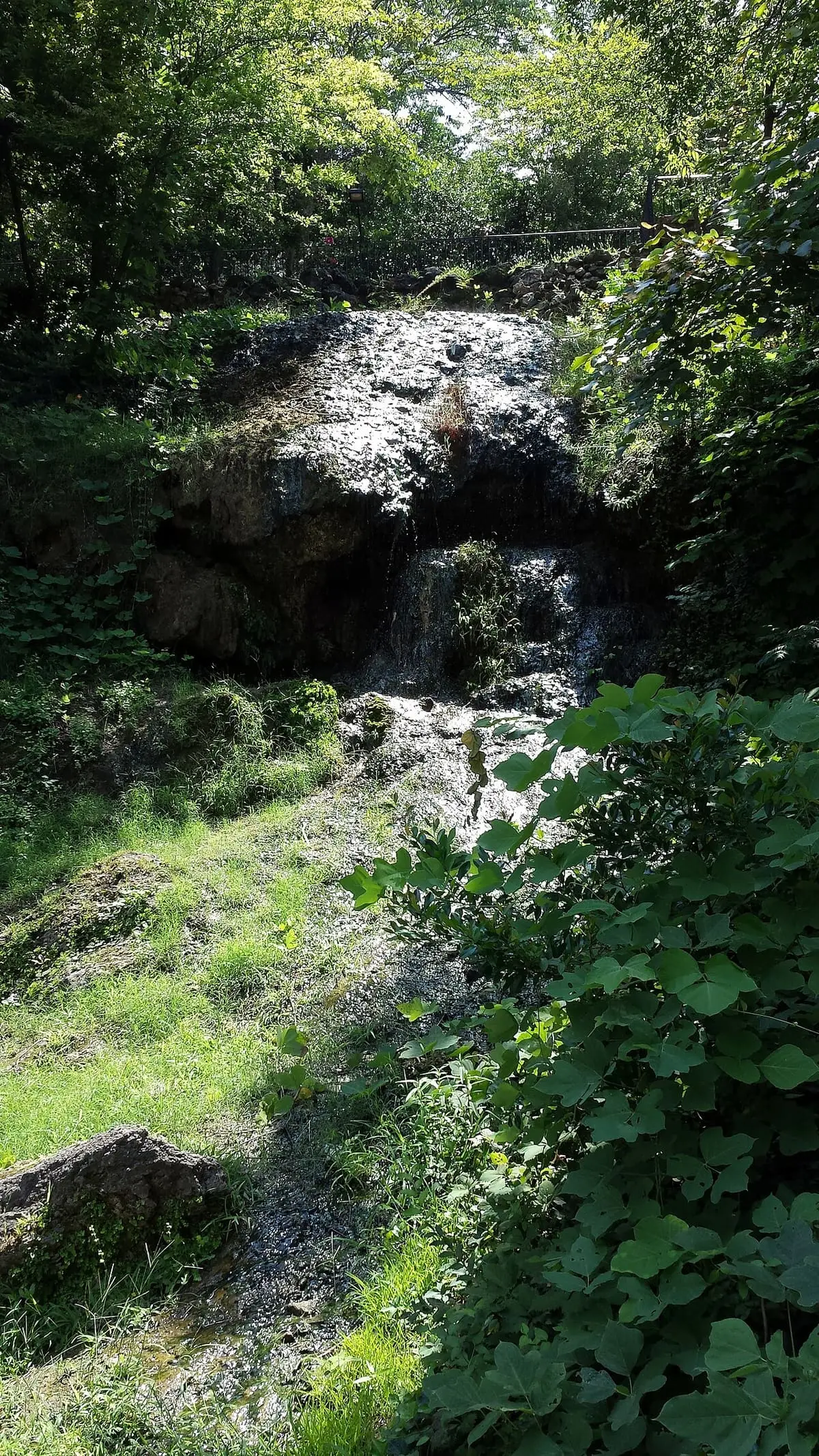 Thermal water flowing down a dark tufa rock face through green foliage at the Hot Water Cascade
