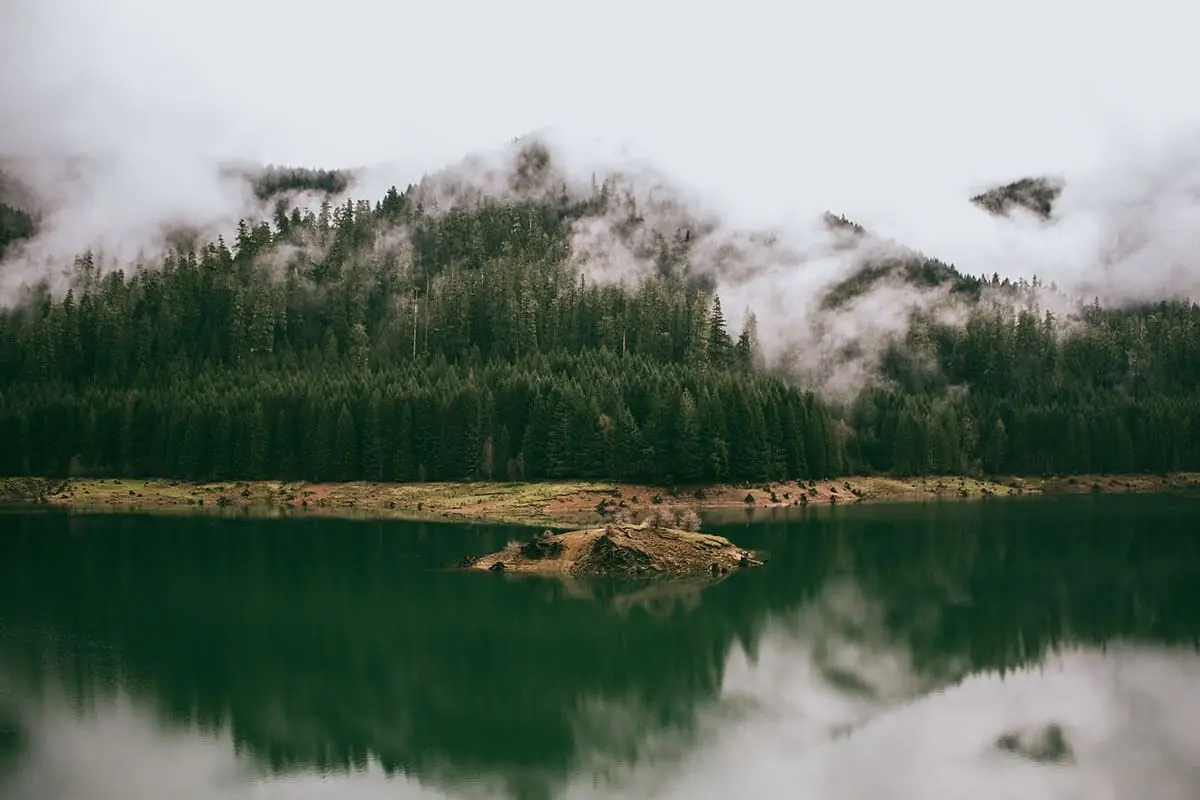 Misty forested hills reflected in Cougar Reservoir near the Terwilliger Hot Springs trail