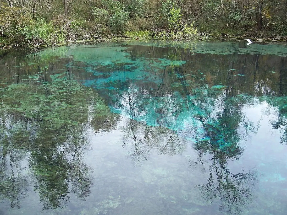 Clear Ichetucknee Head Spring with blue patches and reflections of surrounding trees