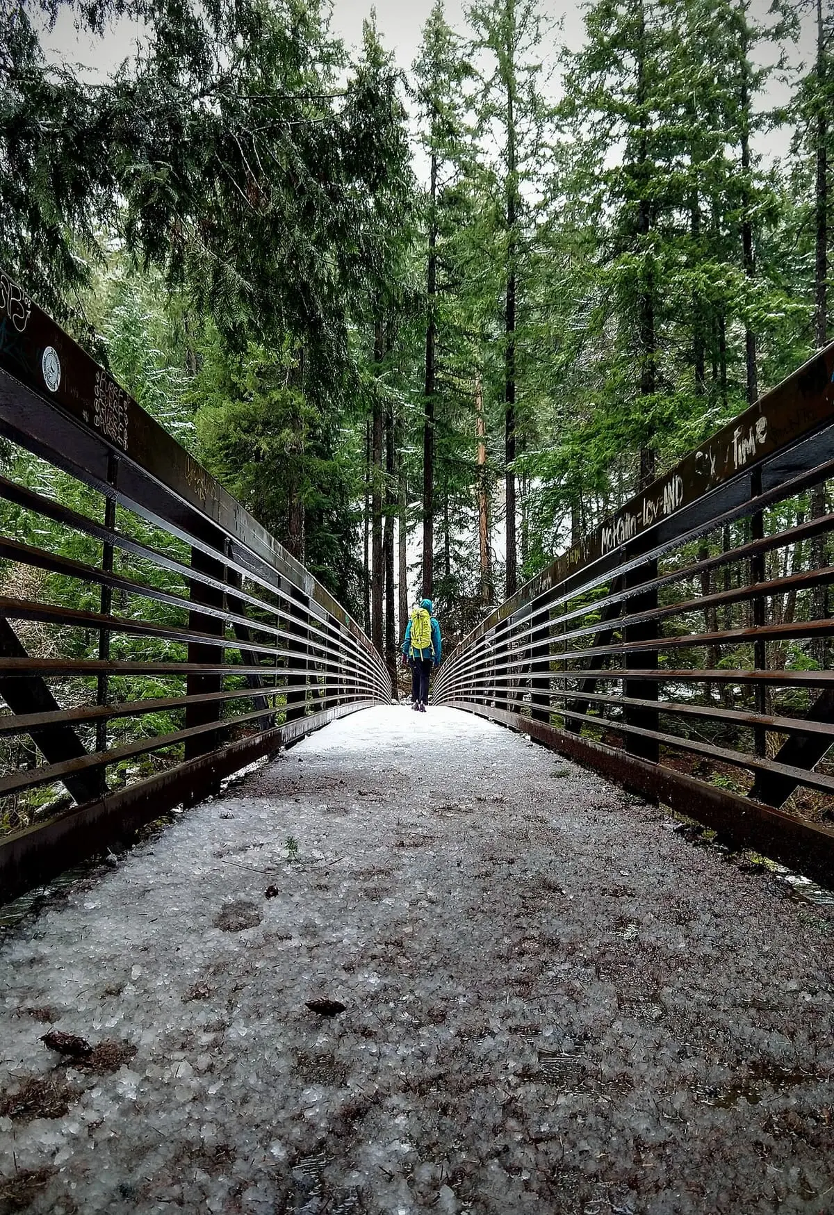 Snow dusted footbridge leading into tall conifer forest on the trail to Umpqua Hot Springs