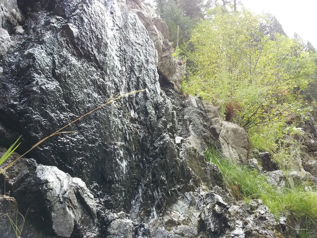 Water trickling down a dark, wet rock face beside green brush at Mile 16 Hot Springs