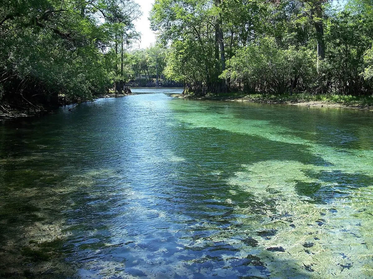 Clear spring run flowing from Fanning Springs between wooded banks toward the Suwannee River