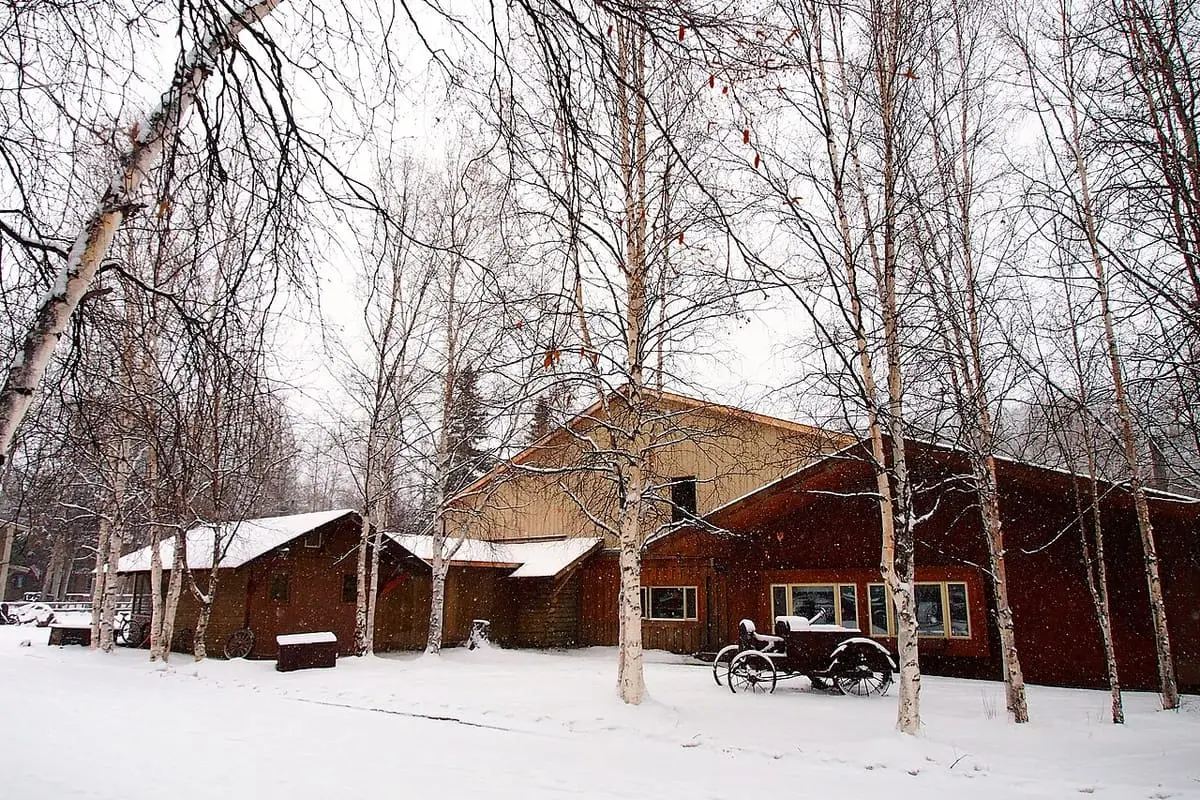 Snowy resort buildings and an antique wagon among bare birch trees at Chena Hot Springs