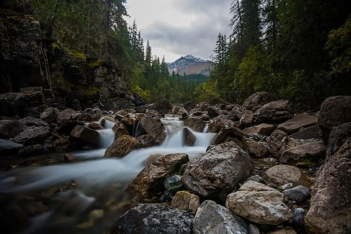 Creek tumbling over boulders beside the trail to the Miette Hot Springs source