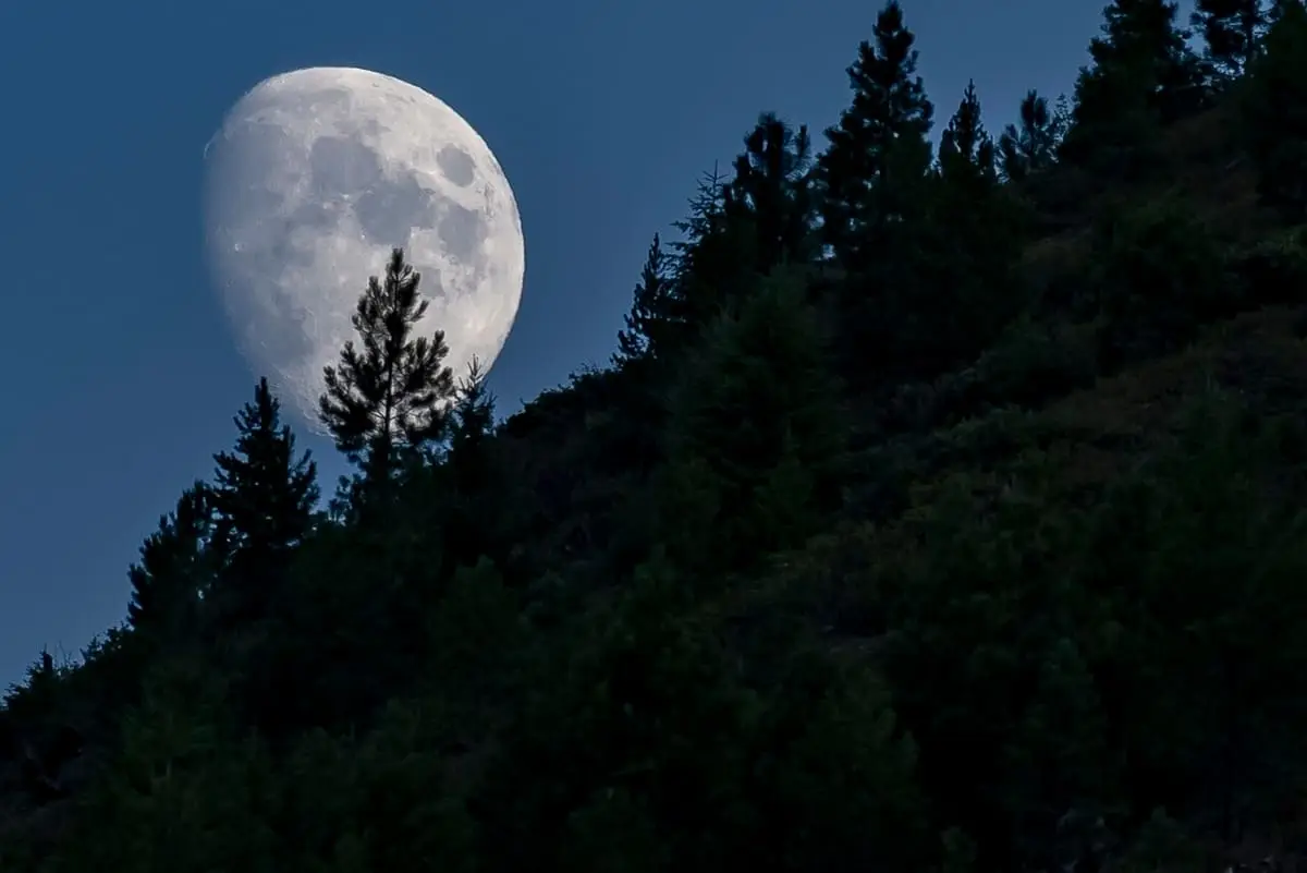 Large setting moon over a forested ridge above Kirkham Hot Springs in the Boise National Forest