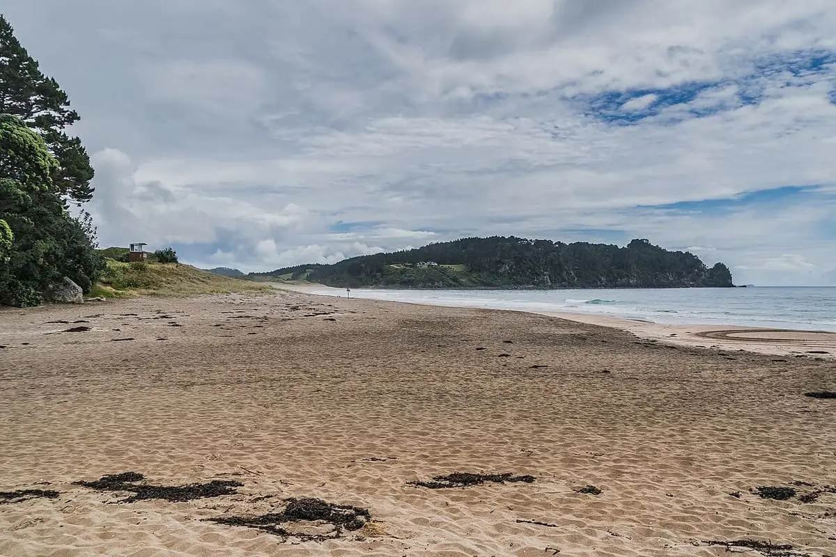 Wide sandy stretch of Hot Water Beach under cloudy sky with a green island offshore