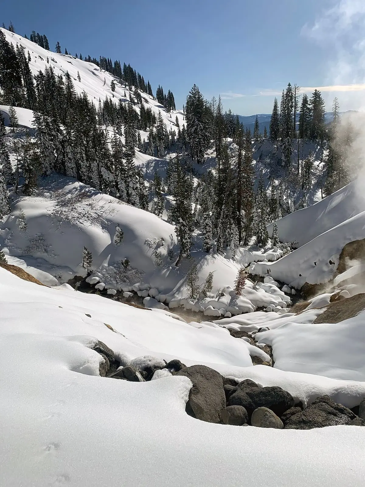 Fresh snow over the Sulphur Works area with conifers and a faint plume of steam