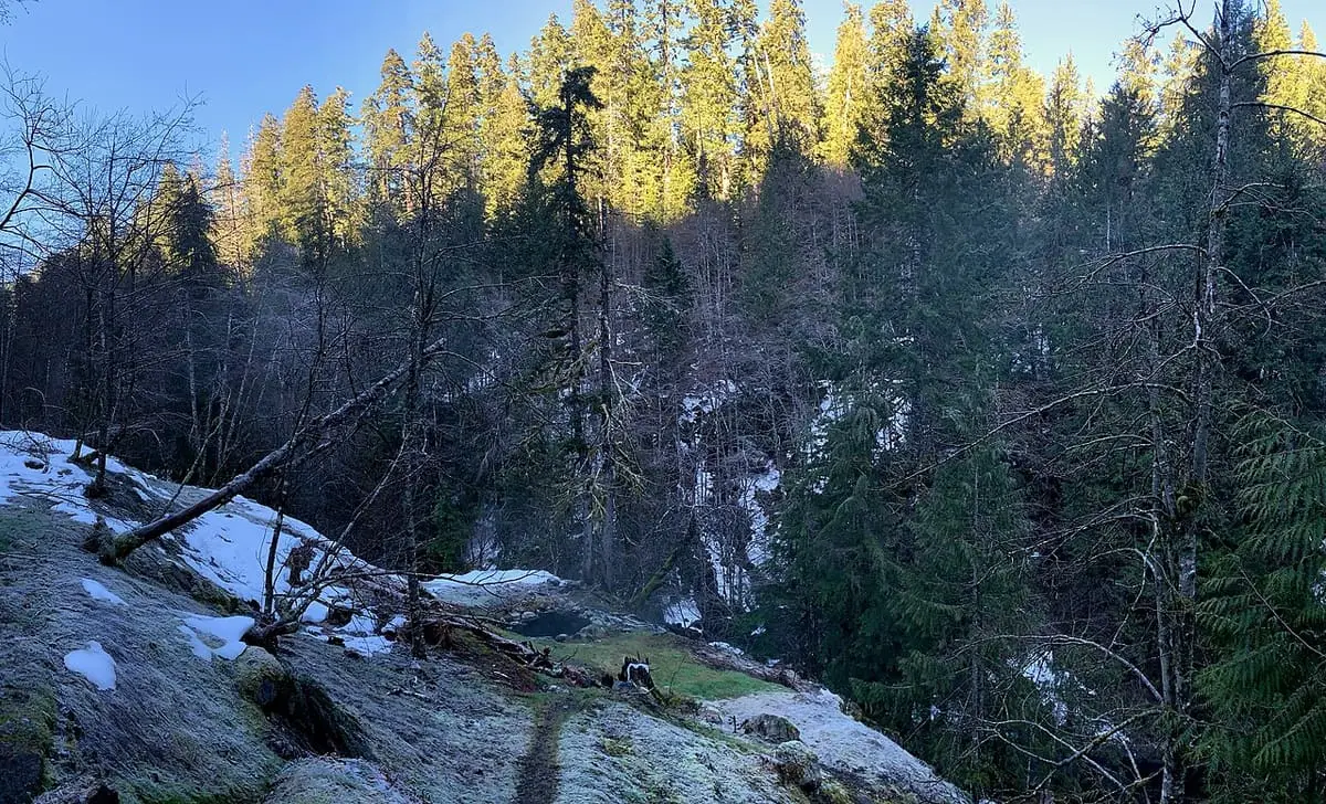 Winter view from Olympic Hot Springs over the Boulder Creek canyon with sunlit evergreens