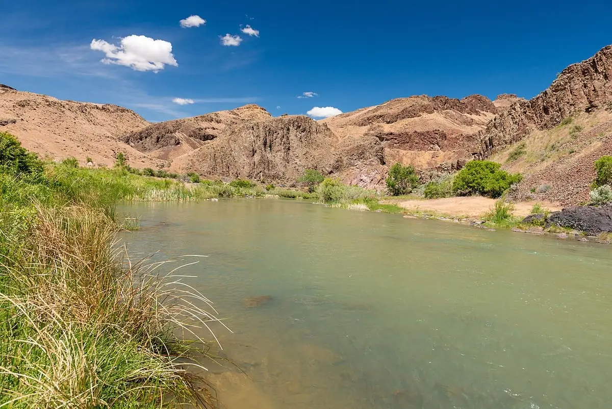 Calm green Owyhee River beside grassy banks and rocky bluffs at Snively Hot Springs