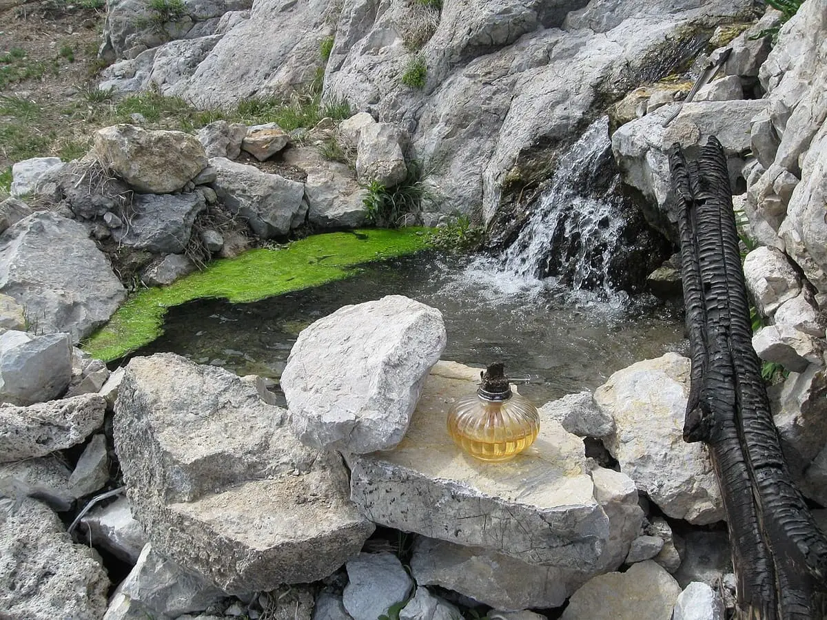 Small cascade spilling over limestone rocks into a mossy pool at Gandy Warm Springs