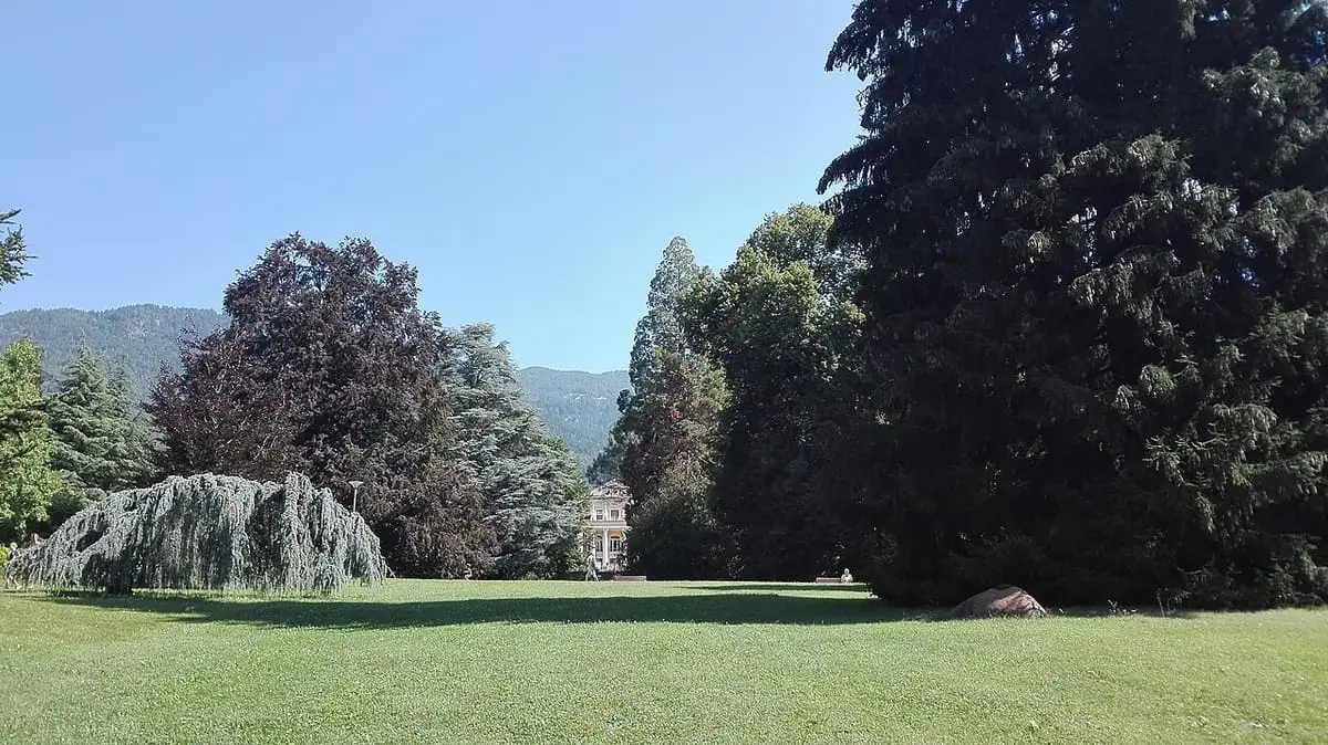Lawn and tall old trees in the Habsburg era spa park at Levico Terme