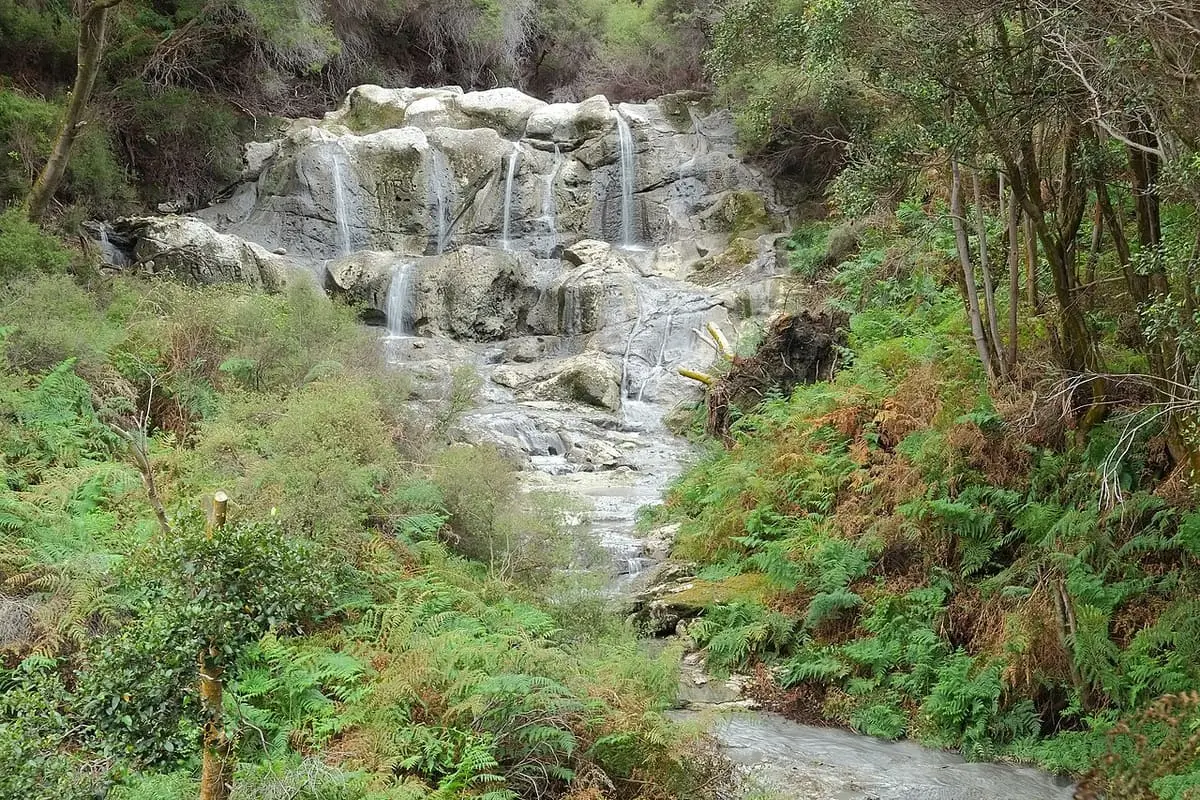 Kakahi Falls, a hot waterfall stepping over pale rock through ferns in the Hell's Gate thermal area