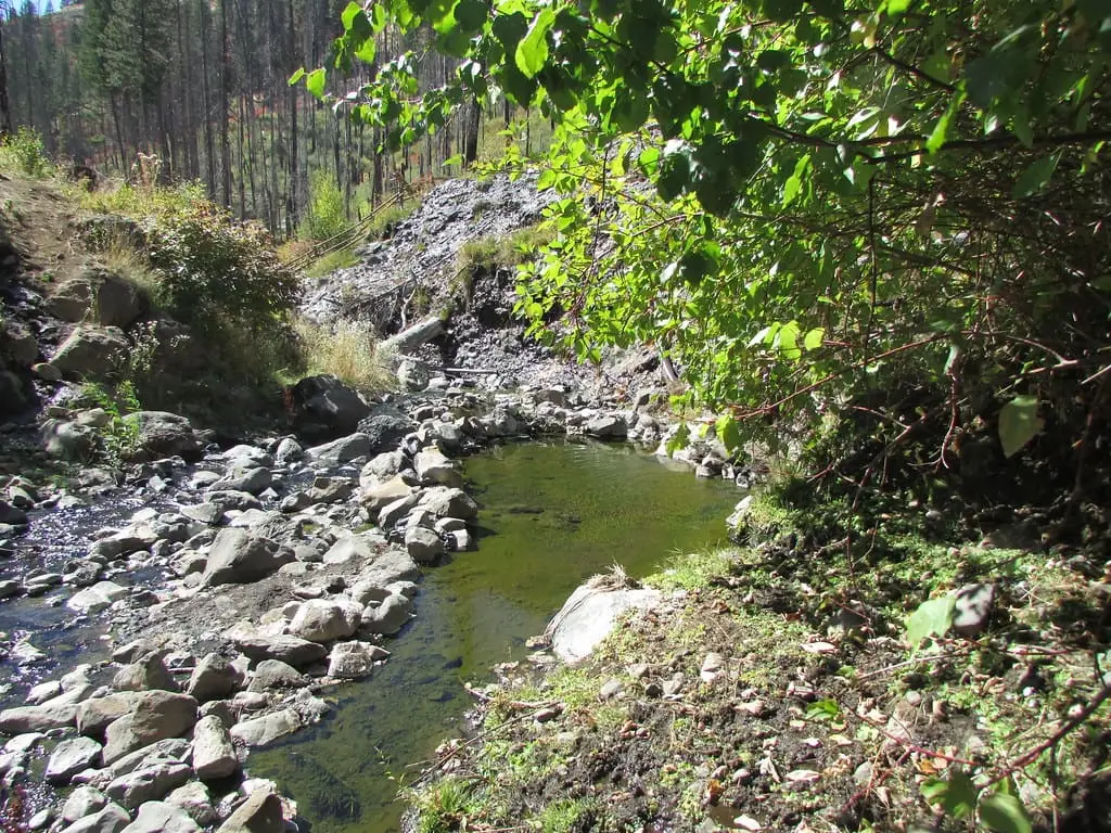 Rock lined green pool in a stony creek bed at Council Mountain Hot Springs under leafy branches