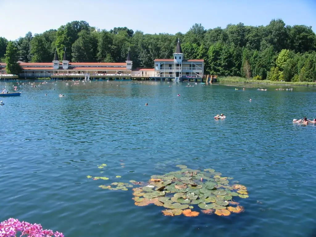 Water lilies floating on Lake Hévíz with the lakeside bath buildings behind the trees