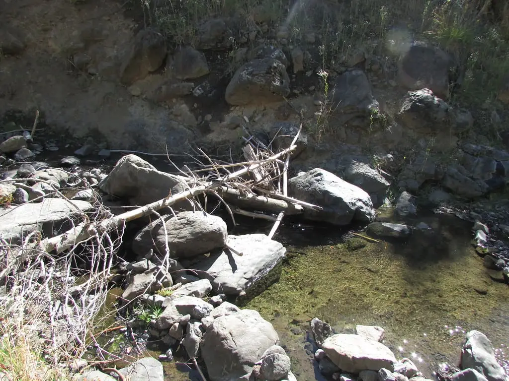 Shallow pool among boulders and fallen branches at Council Mountain Hot Springs