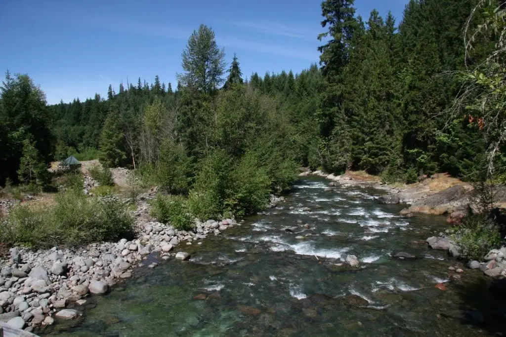 Clear Breitenbush River flowing over rocks below forested banks, seen from the footbridge