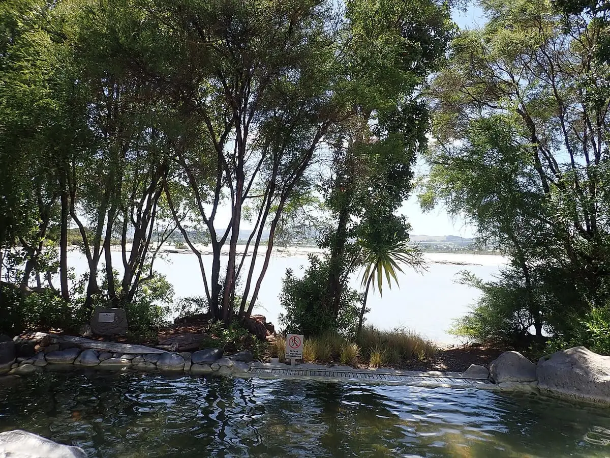 Thermal pool at Polynesian Spa framed by native trees with Lake Rotorua beyond