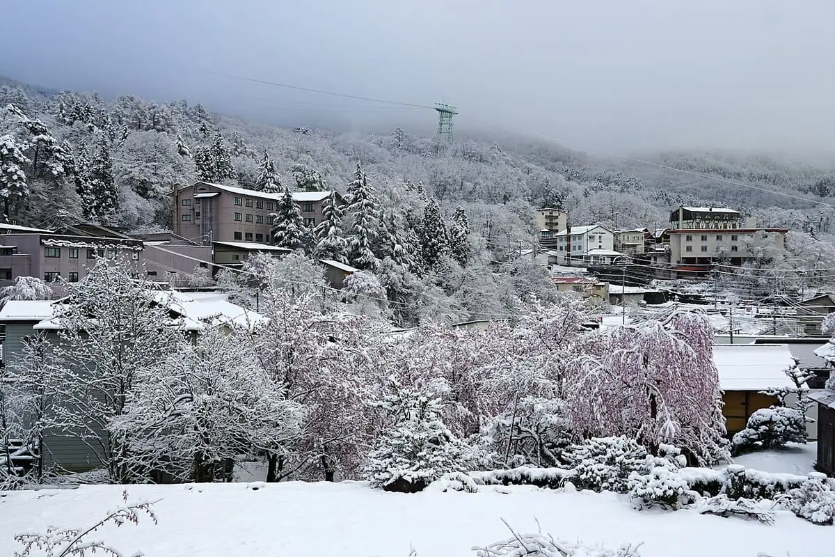 Zao Onsen town among snow covered trees below the mountain