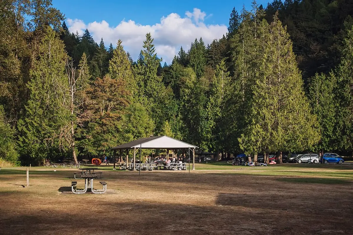 Picnic shelter and tables on a wide lawn below tall conifers at Flaming Geyser State Park