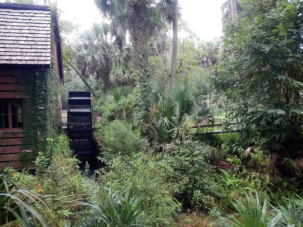 Shingled mill house and waterwheel at Juniper Springs surrounded by palms and dense greenery