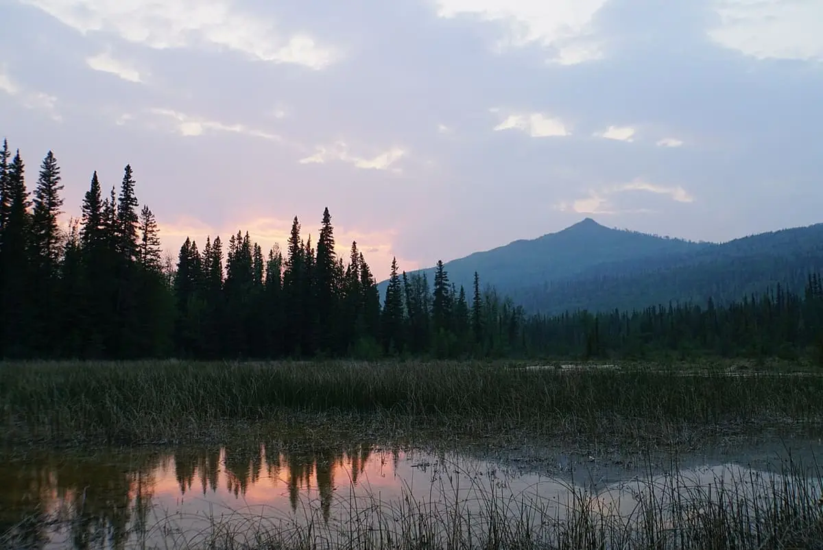 Sunset over the marsh beside the boardwalk in Liard River Hot Springs Provincial Park