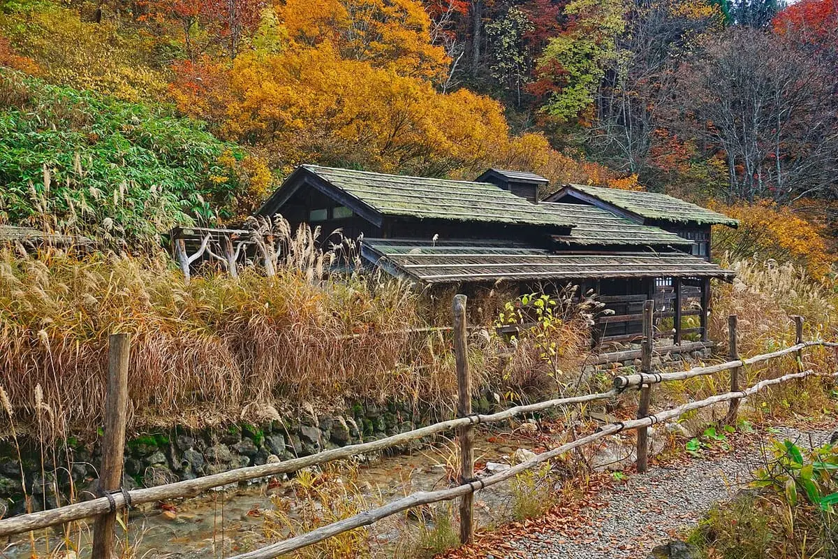Old thatched building of Tsurunoyu Onsen behind a wooden fence and autumn trees