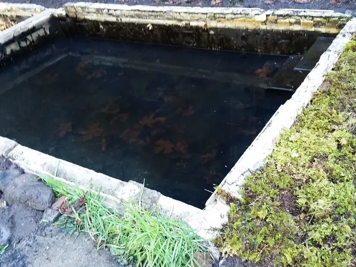 Square concrete soaking tub at Lower Breitenbush Hot Springs edged with moss, grass and rocks