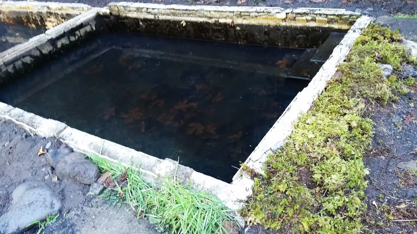 Square concrete soaking tub at Lower Breitenbush Hot Springs edged with moss, grass and rocks