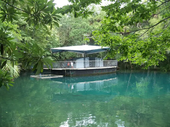 Clear green Homosassa Springs water with the floating underwater observatory among lush trees