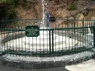 Mōkena Geyser spouting inside its fenced basin in the Te Aroha spa domain below bush covered slopes