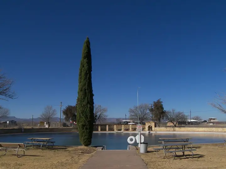 Balmorhea State Park spring fed pool with picnic tables and a tall cypress under a deep blue sky