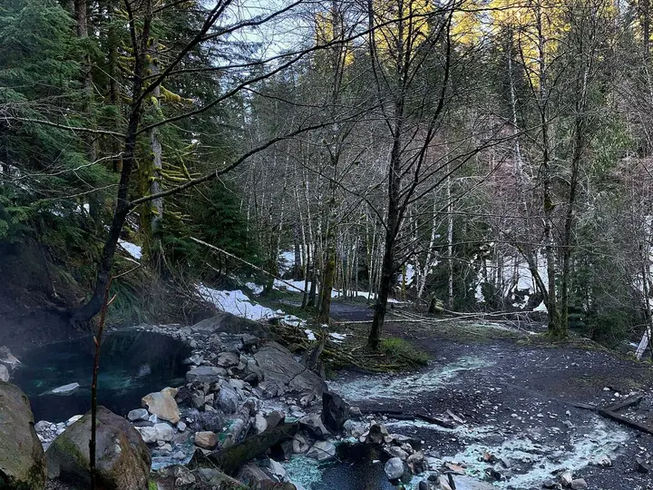 Steaming rock and mud pool beside Boulder Creek at Olympic Hot Springs in a snowy winter forest