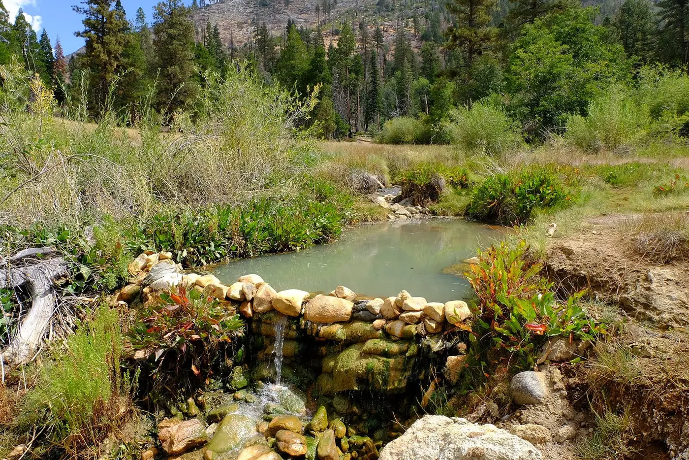 Rock walled soaking pool with milky green water at Jordan Hot Springs surrounded by meadow and pines