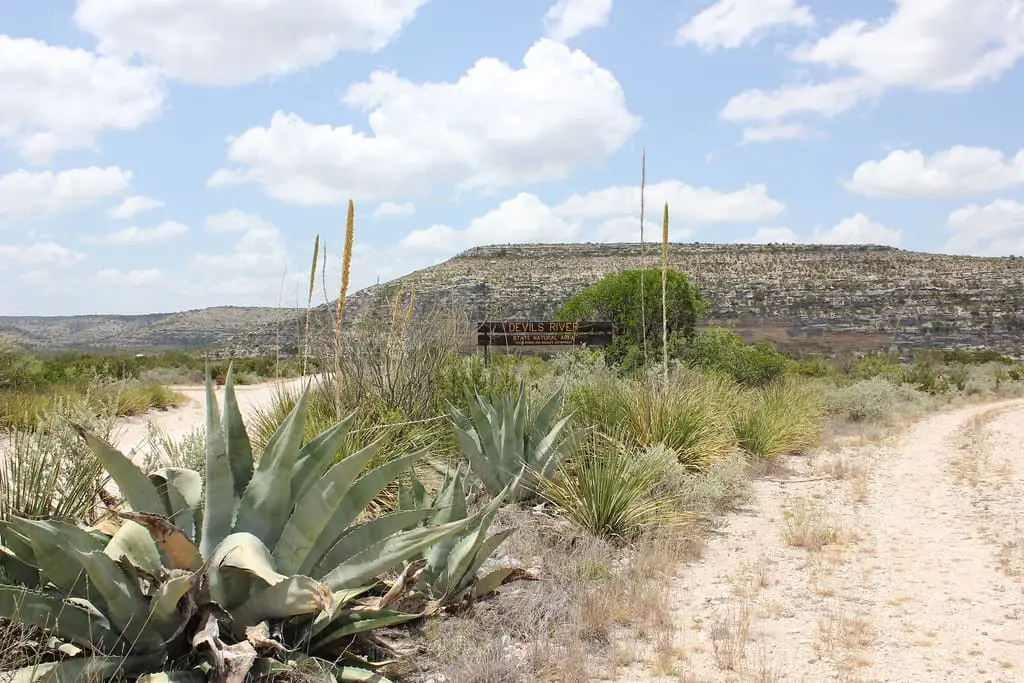 Agave plants beside a dirt road and entrance sign below a flat topped mesa at Devils River State Natural Area